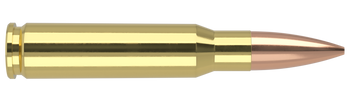 Nosler Match Grade – 308 Win 175 gr Custom Competition (20 st)
