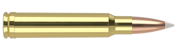 Nosler Trophy Grade – 338 Win Mag 225 gr AccuBond (20 st)