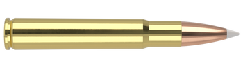 Nosler Trophy Grade – 35 Whelen 225 gr AccuBond (20 st)