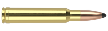 Nosler Trophy Grade – 338 Win Mag 250 gr Partition (20 st)