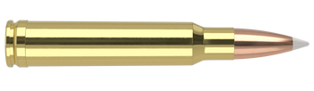 Nosler Trophy Grade – 338 Win Mag 250 gr AccuBond (20 st)