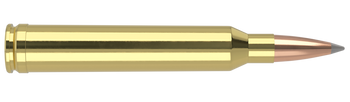 Nosler Trophy Grade – 7mm STW 175 gr AccuBond LR (20 st)