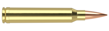 Nosler Trophy Grade – 300 WSM 190 gr AccuBond LR (20 st)