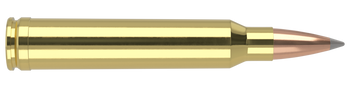 Nosler Trophy Grade – 300 Win Mag 190 gr AccuBond LR (20 st)
