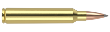 Nosler Trophy Grade – 300 RUM 210 gr AccuBond LR (20 st)