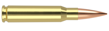 Nosler Match Grade – 308 Win 175 gr RDF (20 st)