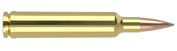 Nosler Trophy Grade – 30 Caliber 210 gr AccuBond LR (20 st)