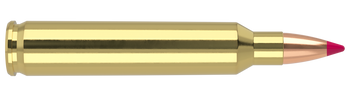 Nosler Ballistic Tip – 204 Ruger 40 gr (20 st)
