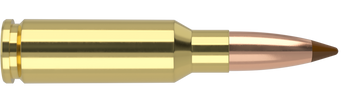 Nosler Ballistic Tip – 6.5 Grendel 120 gr (20 st)