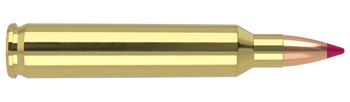 Nosler Ballistic Tip – 204 Ruger 32 gr Ballistic Tip Lead Free (20 st)