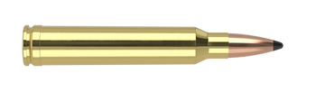 Nosler Trophy Grade – 300 Win Mag 180 gr Partition (20 st)