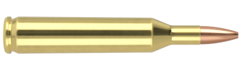 Nosler Varmageddon – 17 Rem 20 gr (20 st)