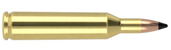 Nosler Varmageddon – 17 Rem 20 gr (20 st)