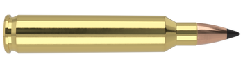 Nosler Varmageddon – 204 Ruger 32 gr (20 st)